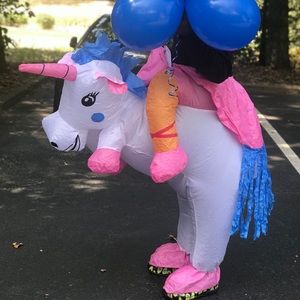 Unicorn Rider Inflatable Halloween Outfit Costume